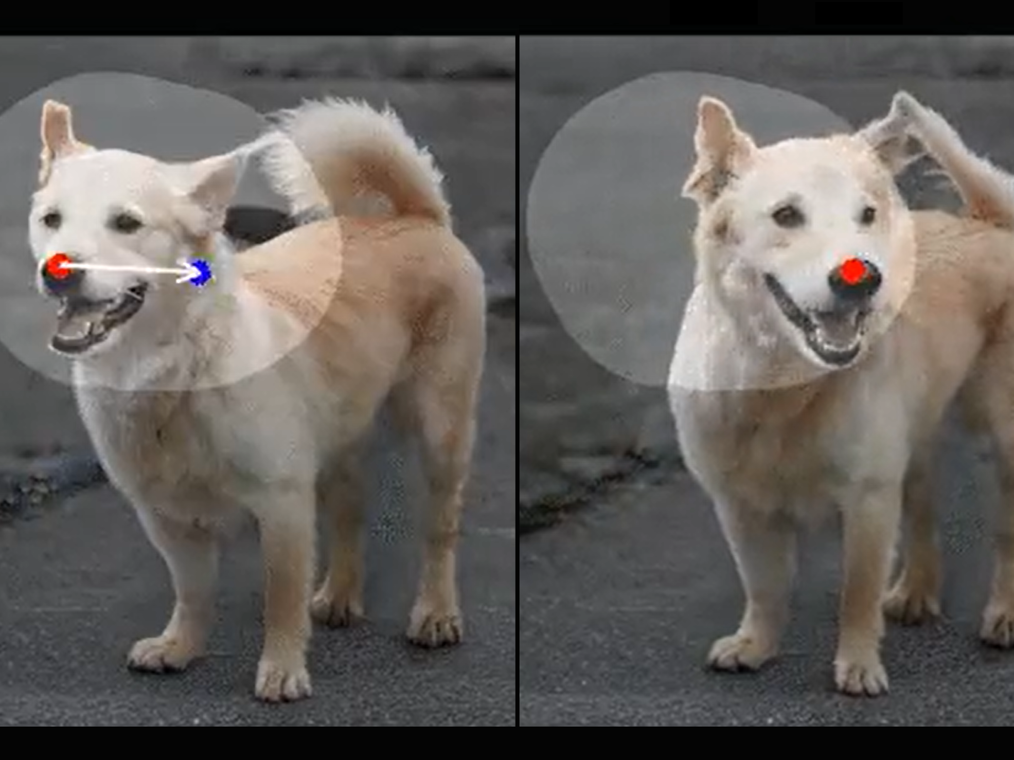  RIP Photoshop New AI Can Alter Any Photo With The Click Of A Mouse 